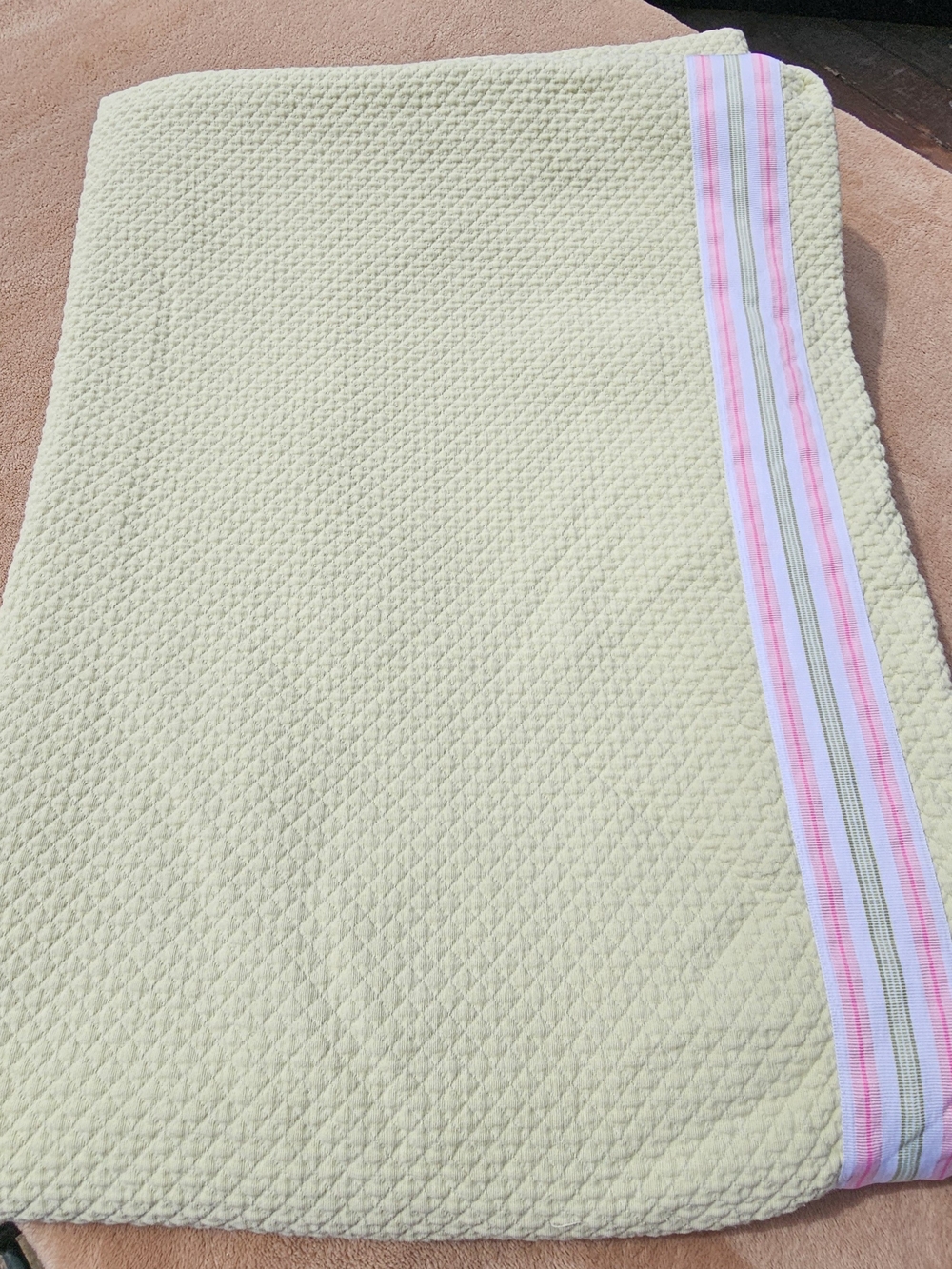 Pottery Barn Kids Pale Green Maltese Twin Duvet Cover With Pink Stripe Trim